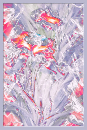 <em>Bouquet Orange Ode</em> — Fine Art Print by Randy Mack