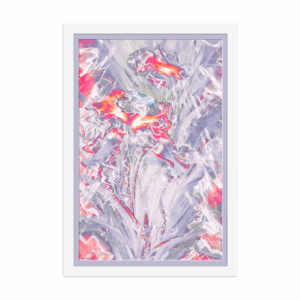 <em>Bouquet Ode Orange</em> - Framed Fine Art Print by Randy Mack